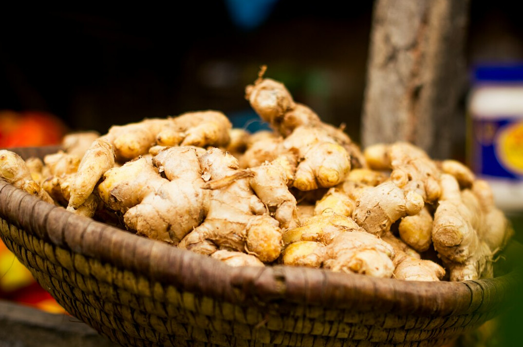 ginger and turmeric roots